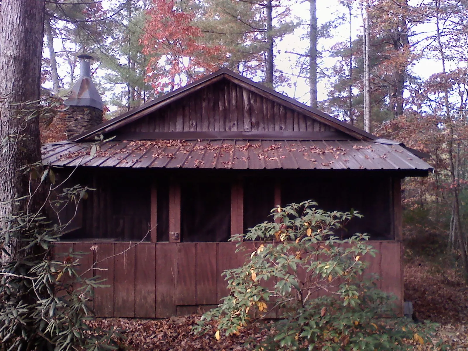 Metal roof over the screened porch of a rustic cabin in Woodville